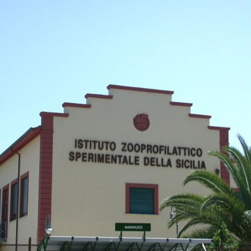 Istituto Zooprofilattico sperimentale della Sicilia a Palermo